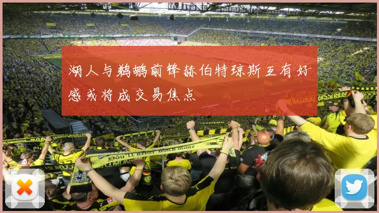 湖人与鹈鹕前锋赫伯特琼斯互有好感或将成交易焦点